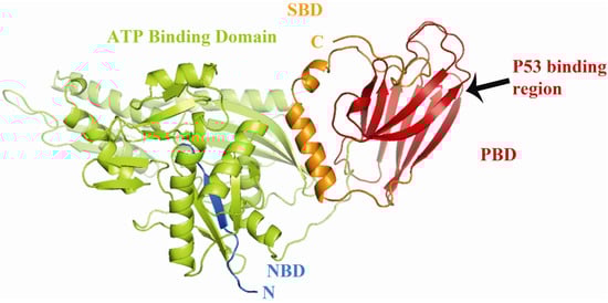 Biomolecules 02 00143 g001 550