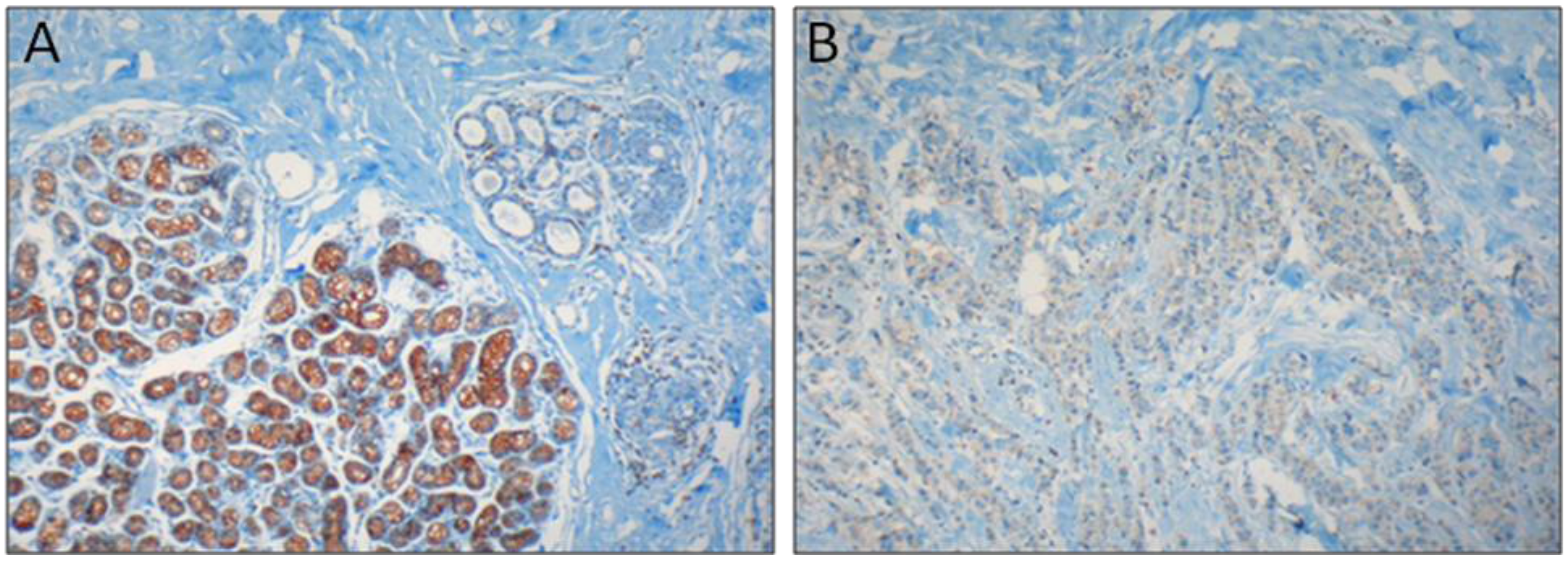Biomolecules 02 00165 g001