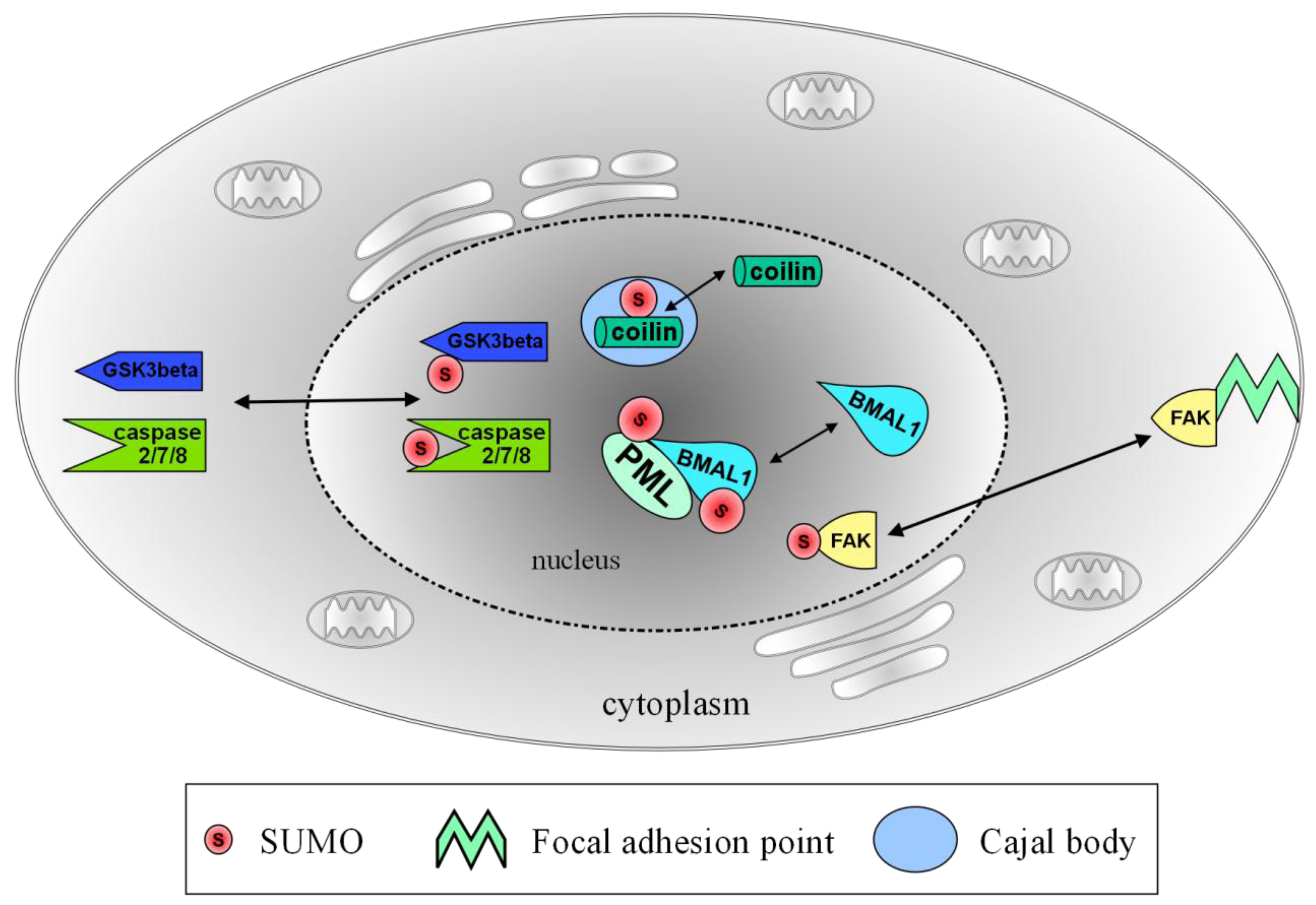 Biomolecules 02 00256 g001