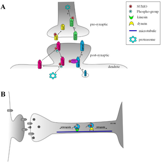 Biomolecules 02 00256 g002 550