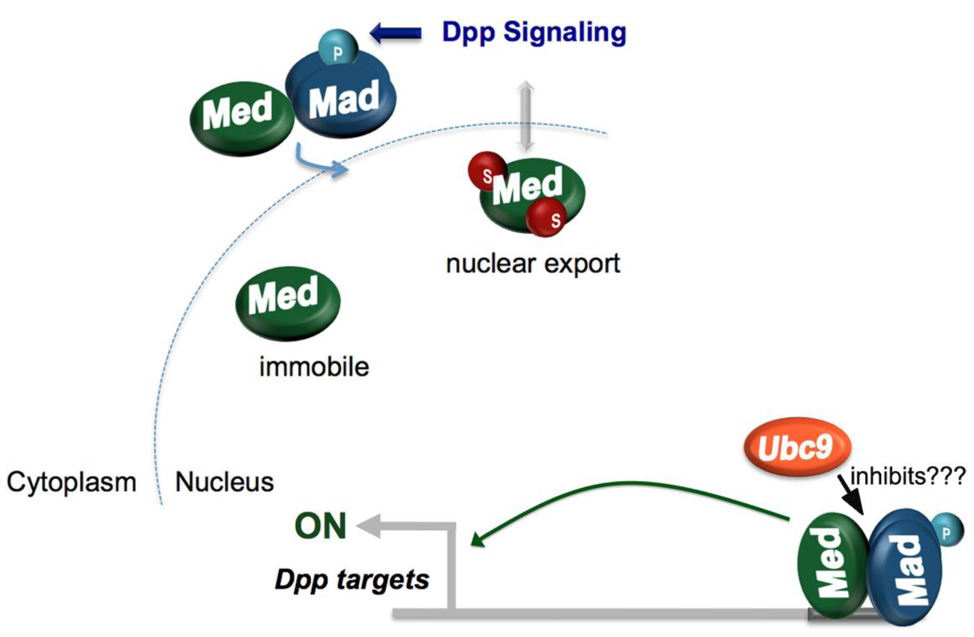 Biomolecules 02 00331 g002