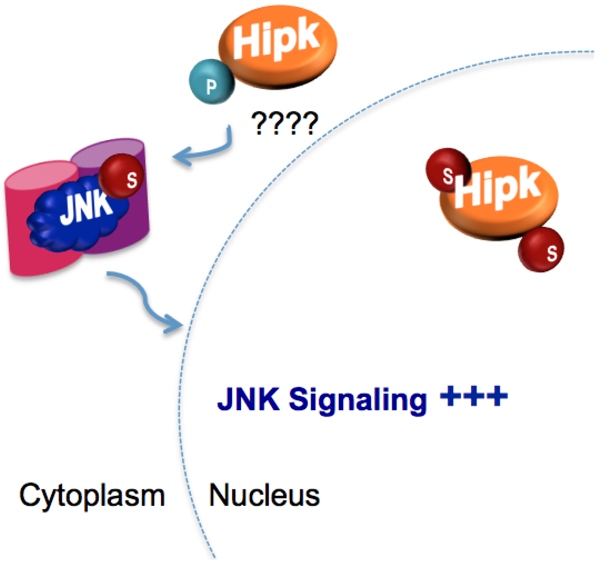 Biomolecules 02 00331 g003