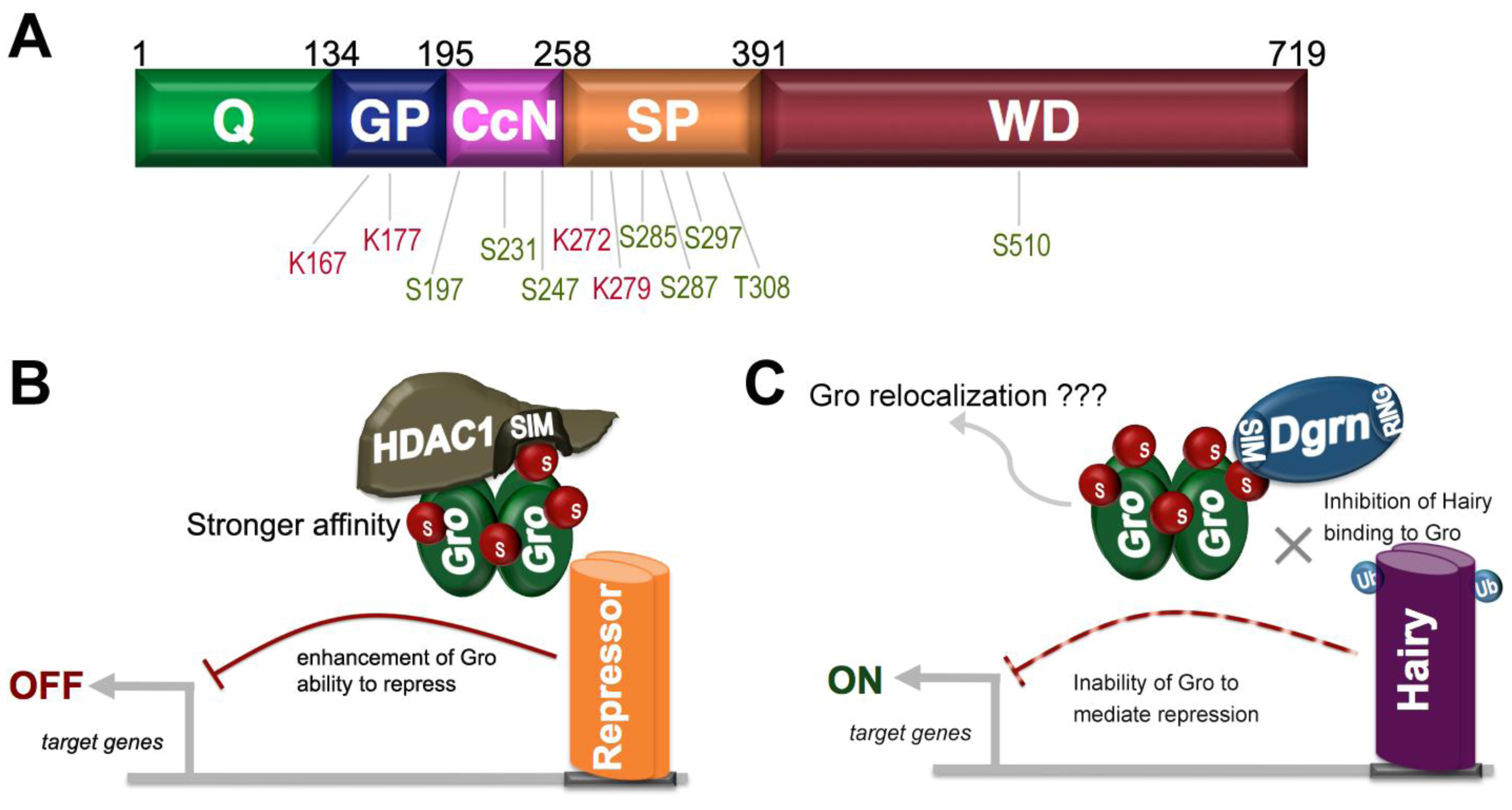 Biomolecules 02 00331 g004