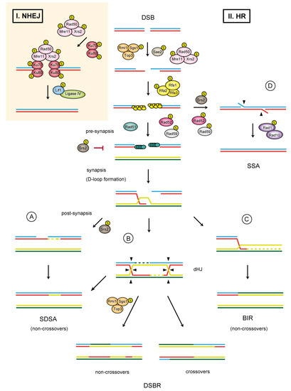 Biomolecules 02 00350 g001 550