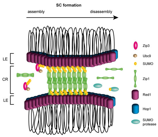 Biomolecules 02 00350 g002 550