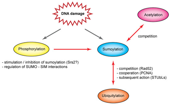 Biomolecules 02 00350 g003 550