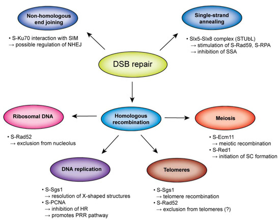 Biomolecules 02 00350 g004 550
