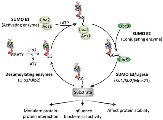 Biomolecules 02 00376 g001 550