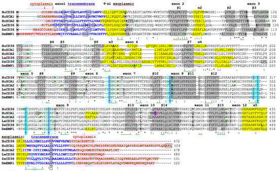 Biomolecules 02 00389 g002 550
