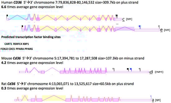 Biomolecules 02 00389 g003 550