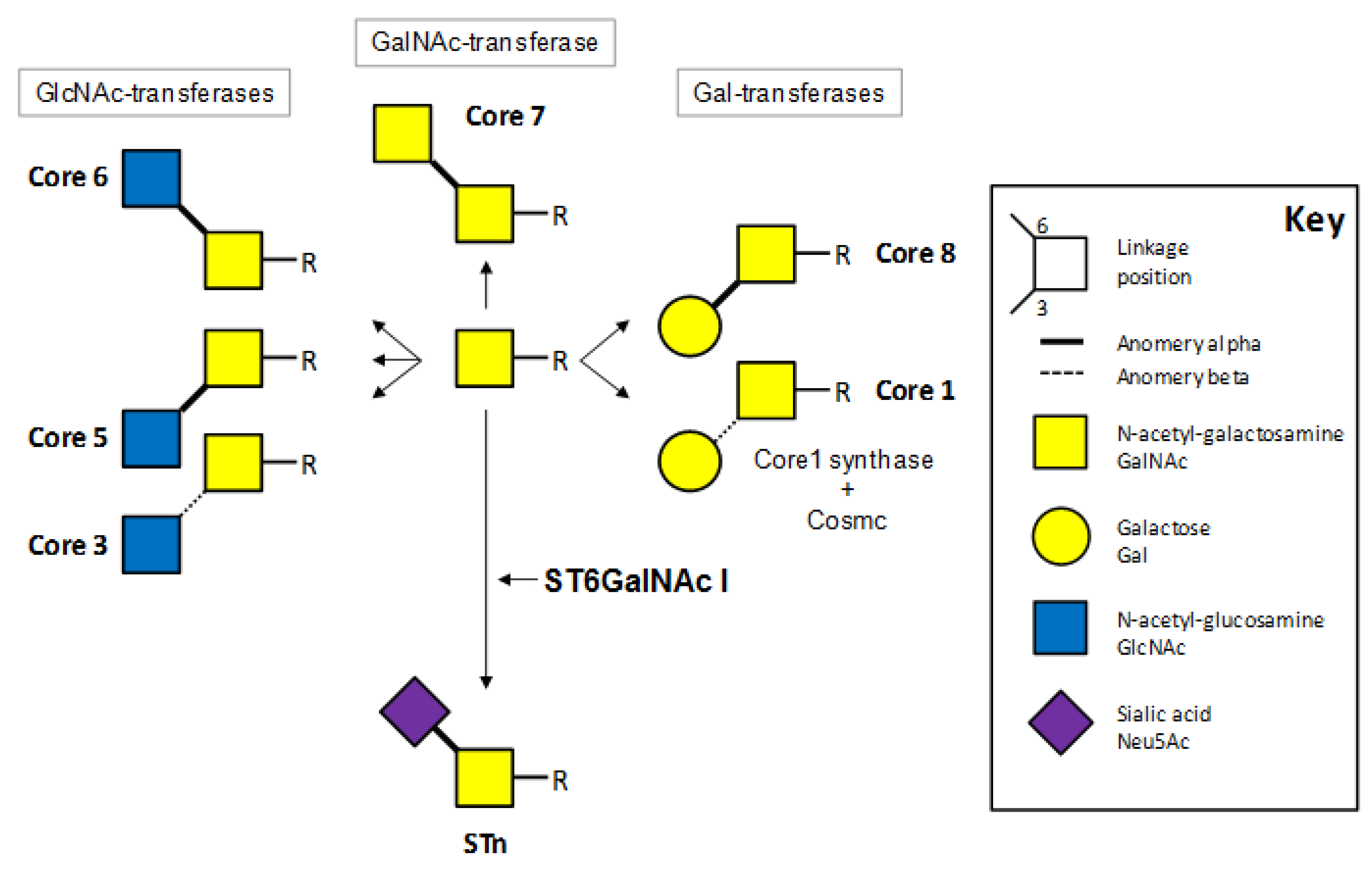 Biomolecules 02 00435 g001