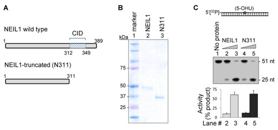 Biomolecules 02 00564 g002 550