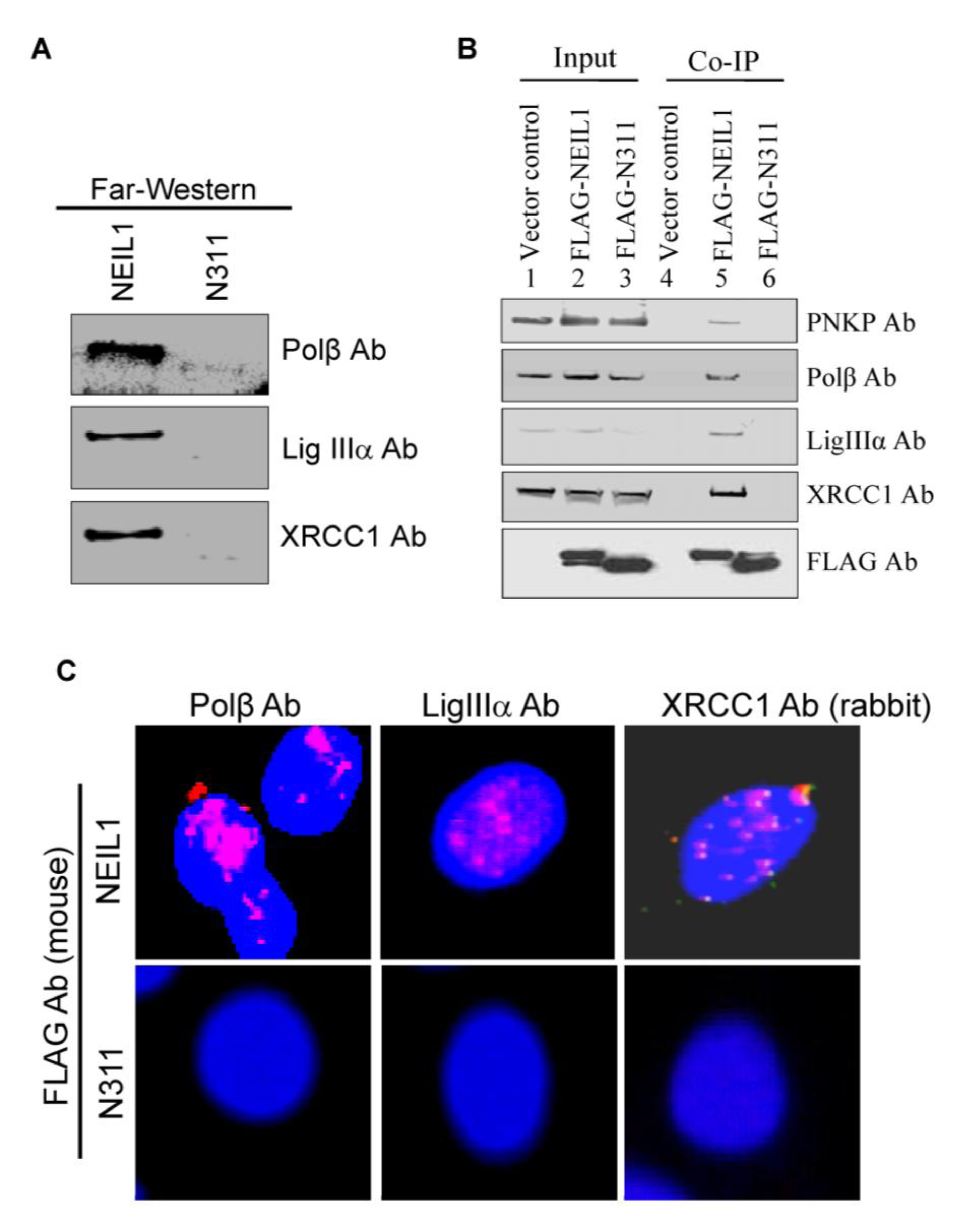 Biomolecules 02 00564 g003