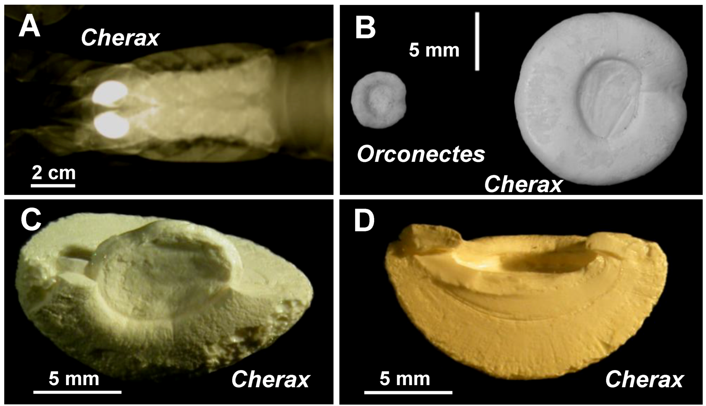 Biomolecules 03 00018 g001