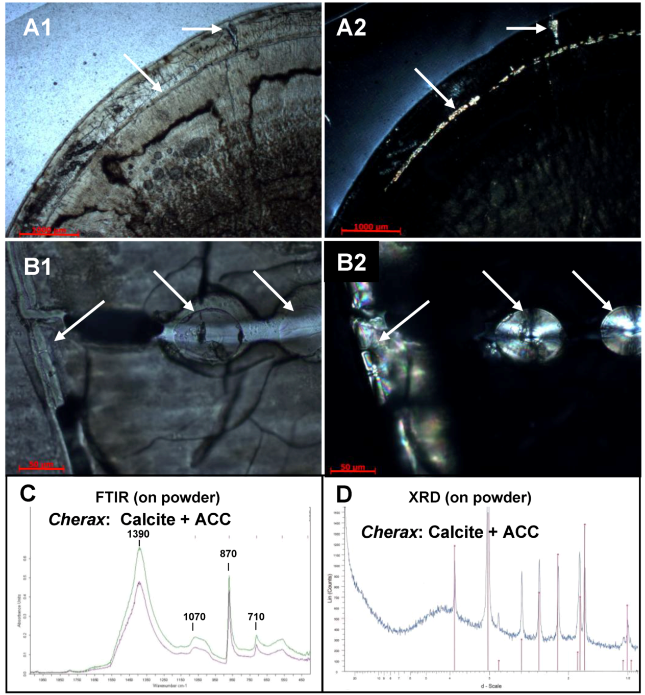 Biomolecules 03 00018 g006