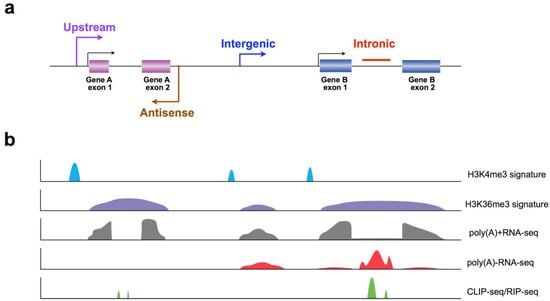Biomolecules 03 00226 g001 550
