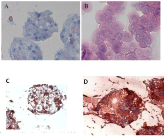 Biomolecules 03 00242 g003 550