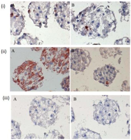 Biomolecules 03 00242 g004 550