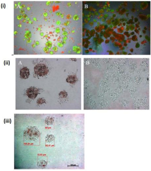 Biomolecules 03 00242 g005 550