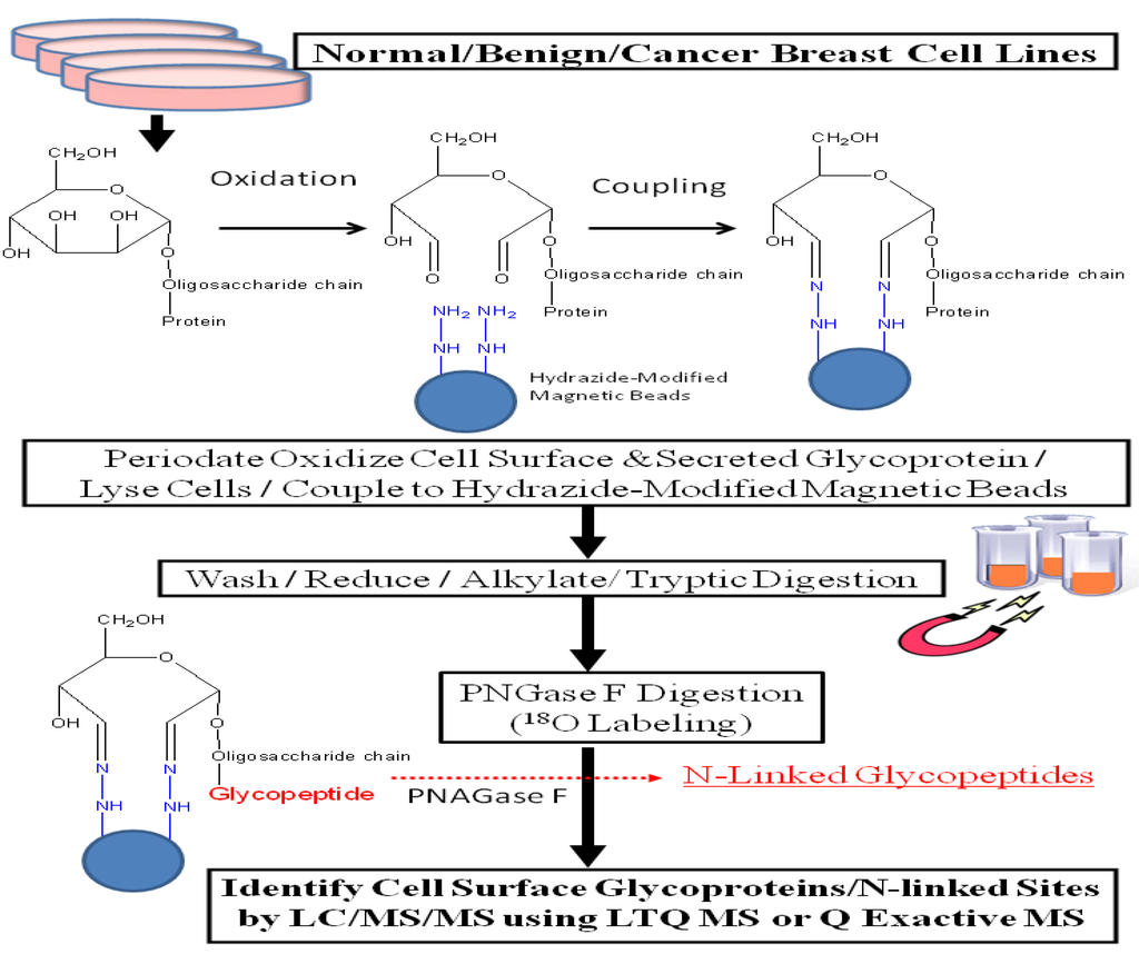 Biomolecules 03 00270 g001 1024