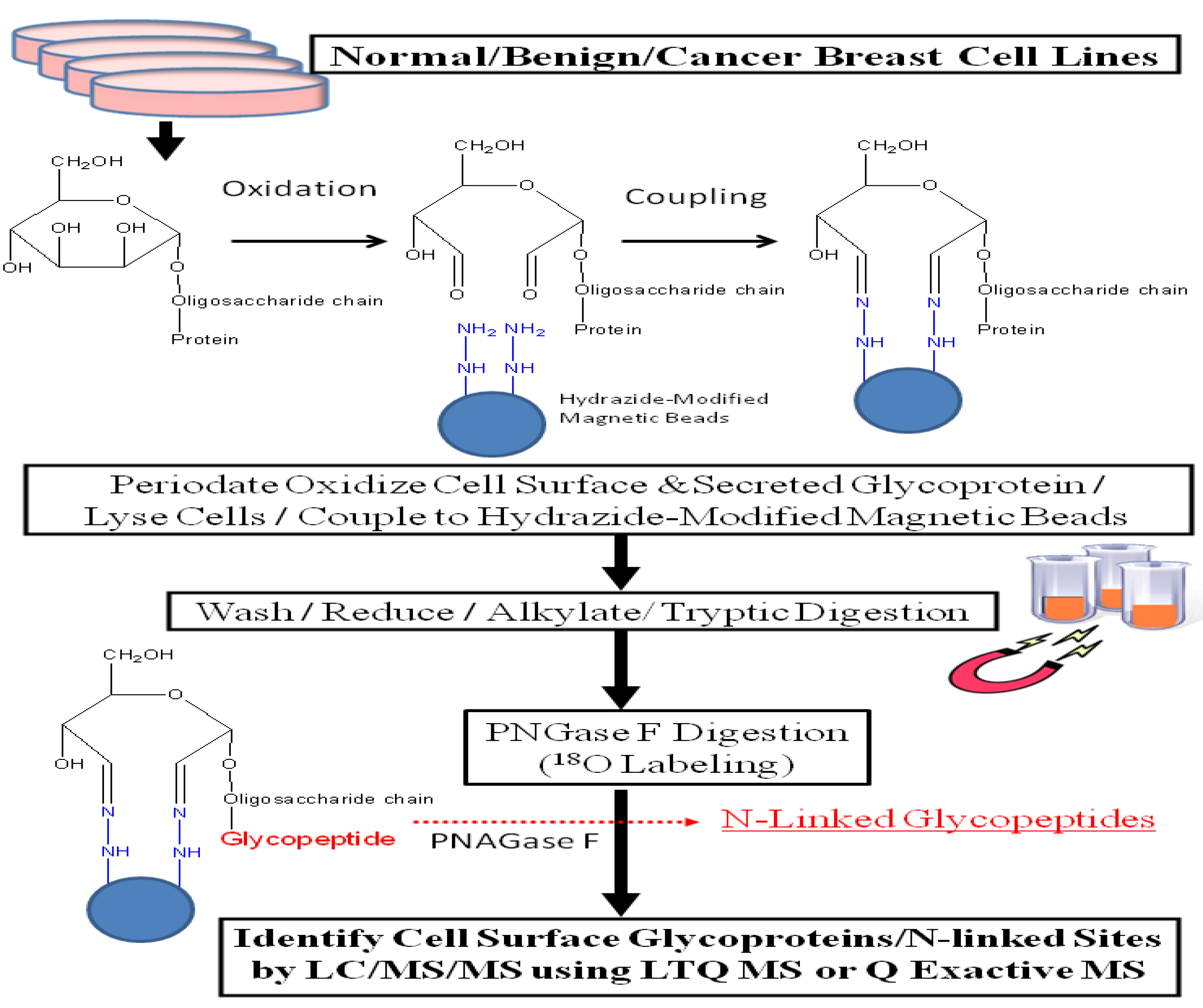 Biomolecules 03 00270 g001
