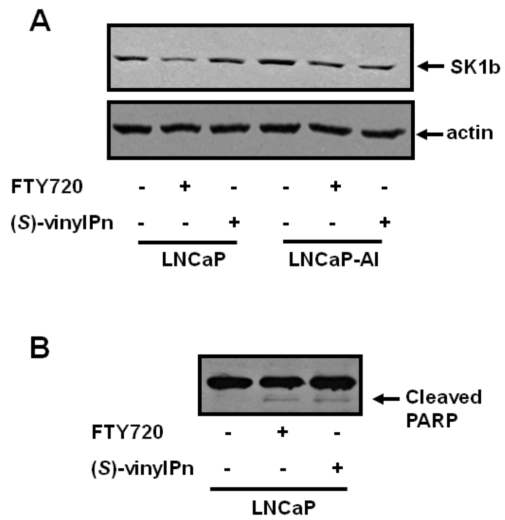 Biomolecules 03 00316 g002 1024