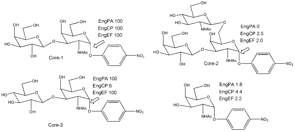 Biomolecules 03 00334 g002 1024
