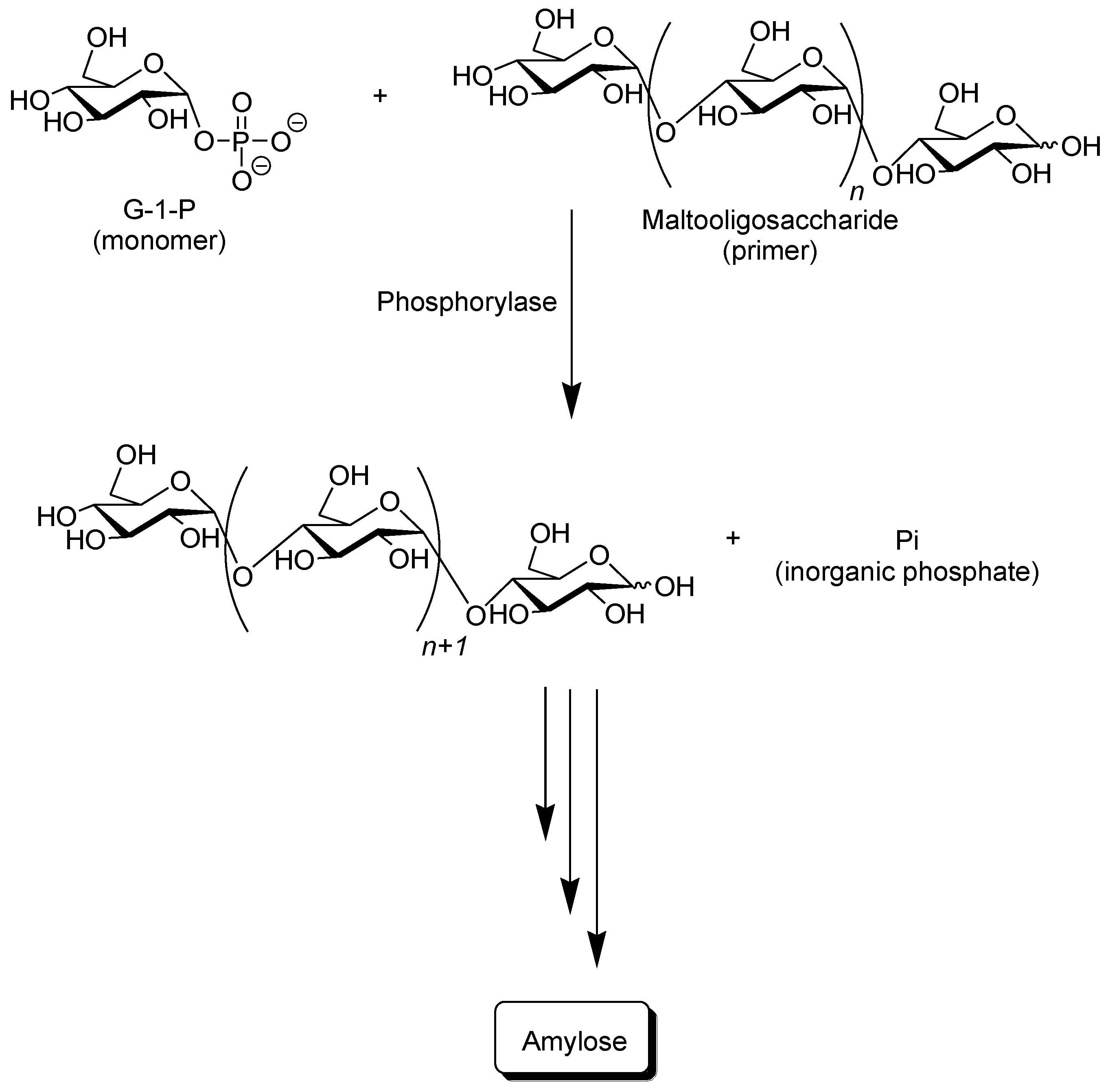 Biomolecules 03 00369 g003