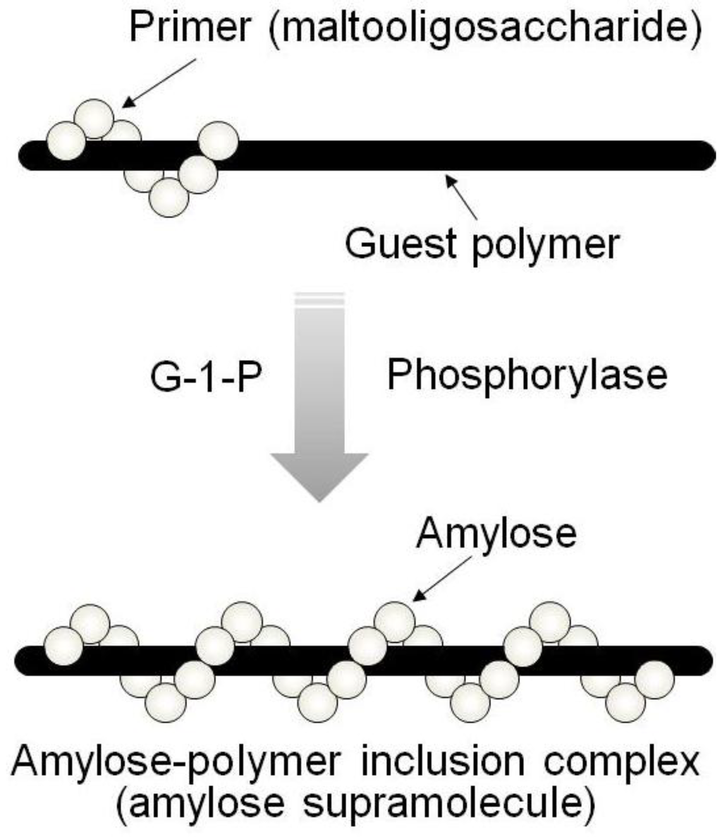 Biomolecules 03 00369 g004 1024