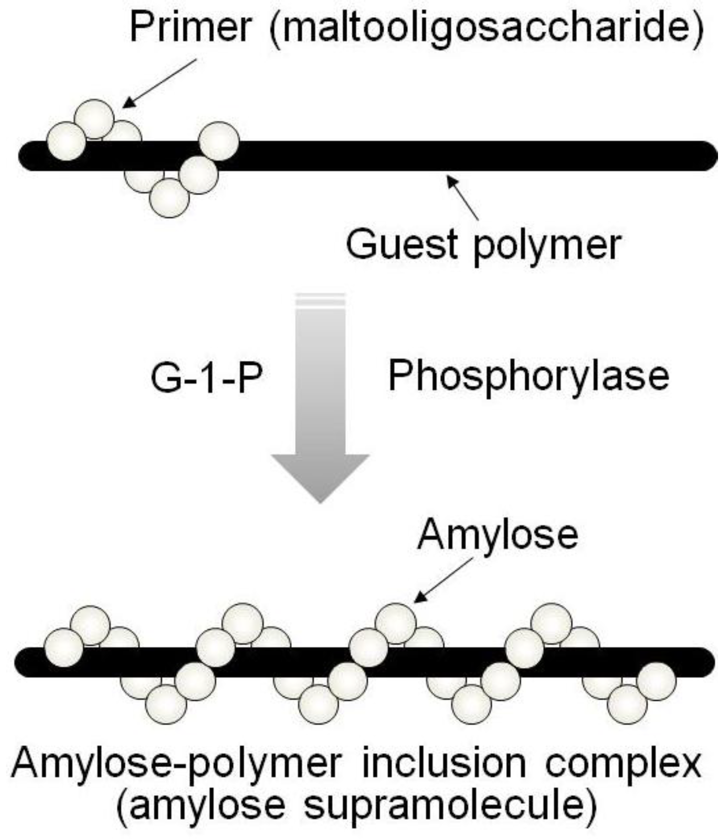 Biomolecules 03 00369 g004