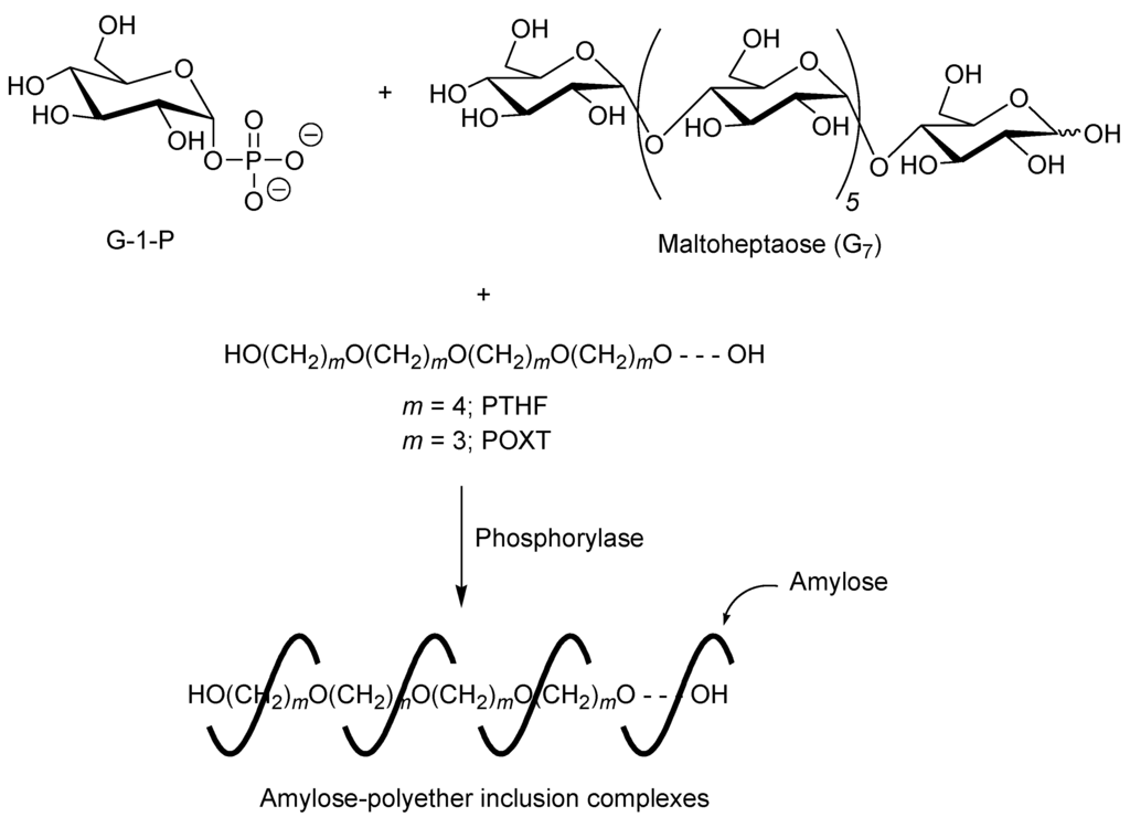 Biomolecules 03 00369 g005 1024
