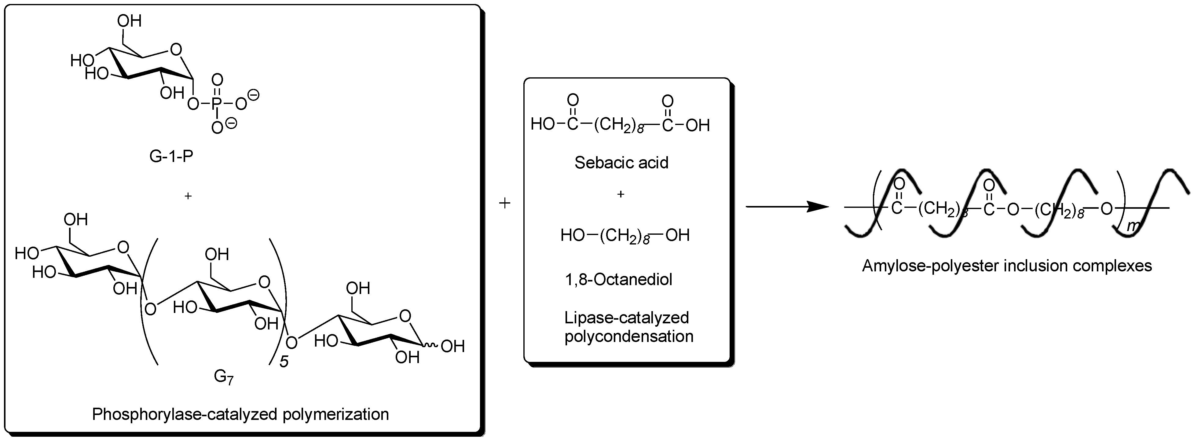 Biomolecules 03 00369 g009