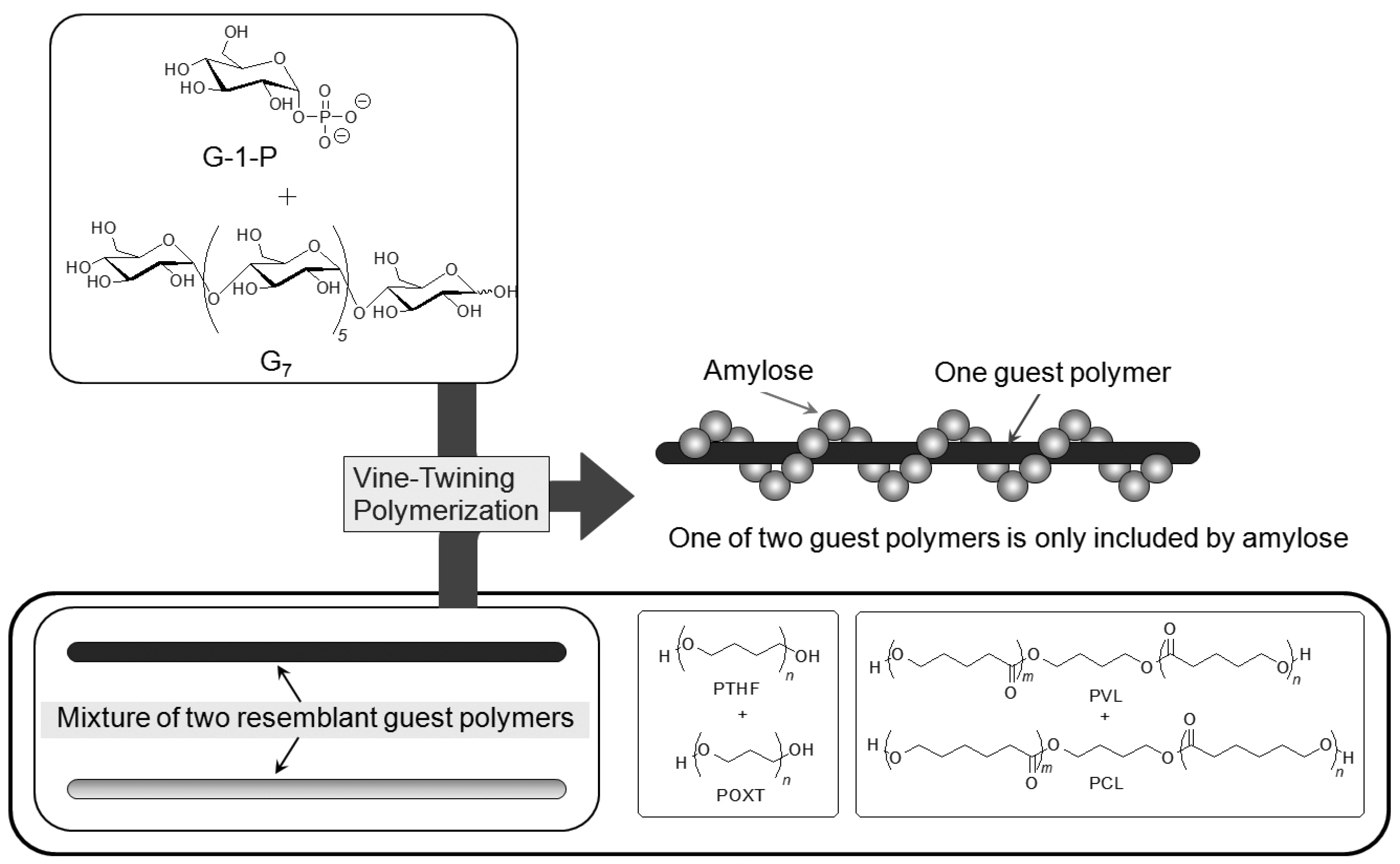 Biomolecules 03 00369 g010