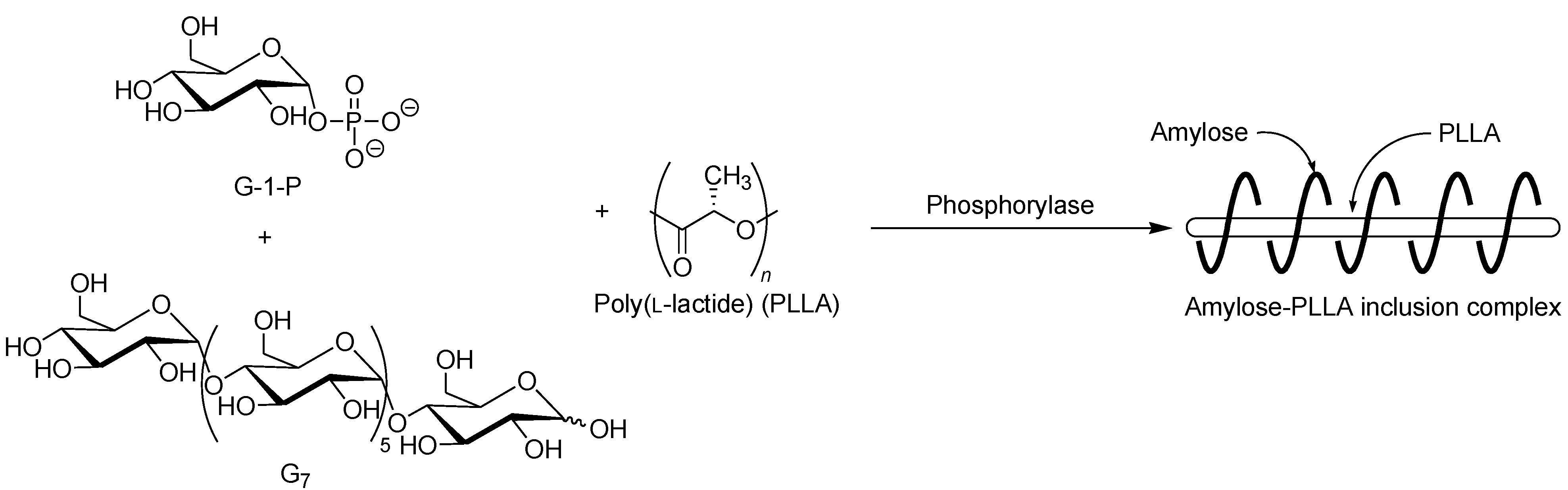 Biomolecules 03 00369 g011