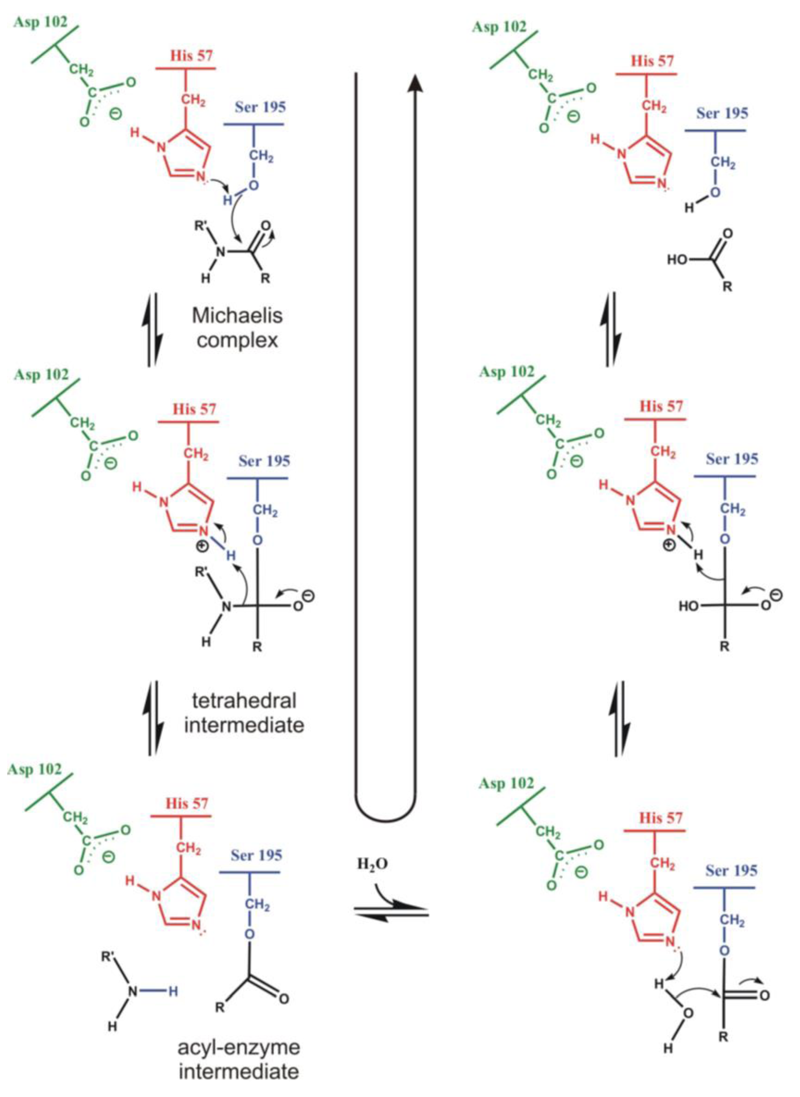 Biomolecules 03 00662 g002