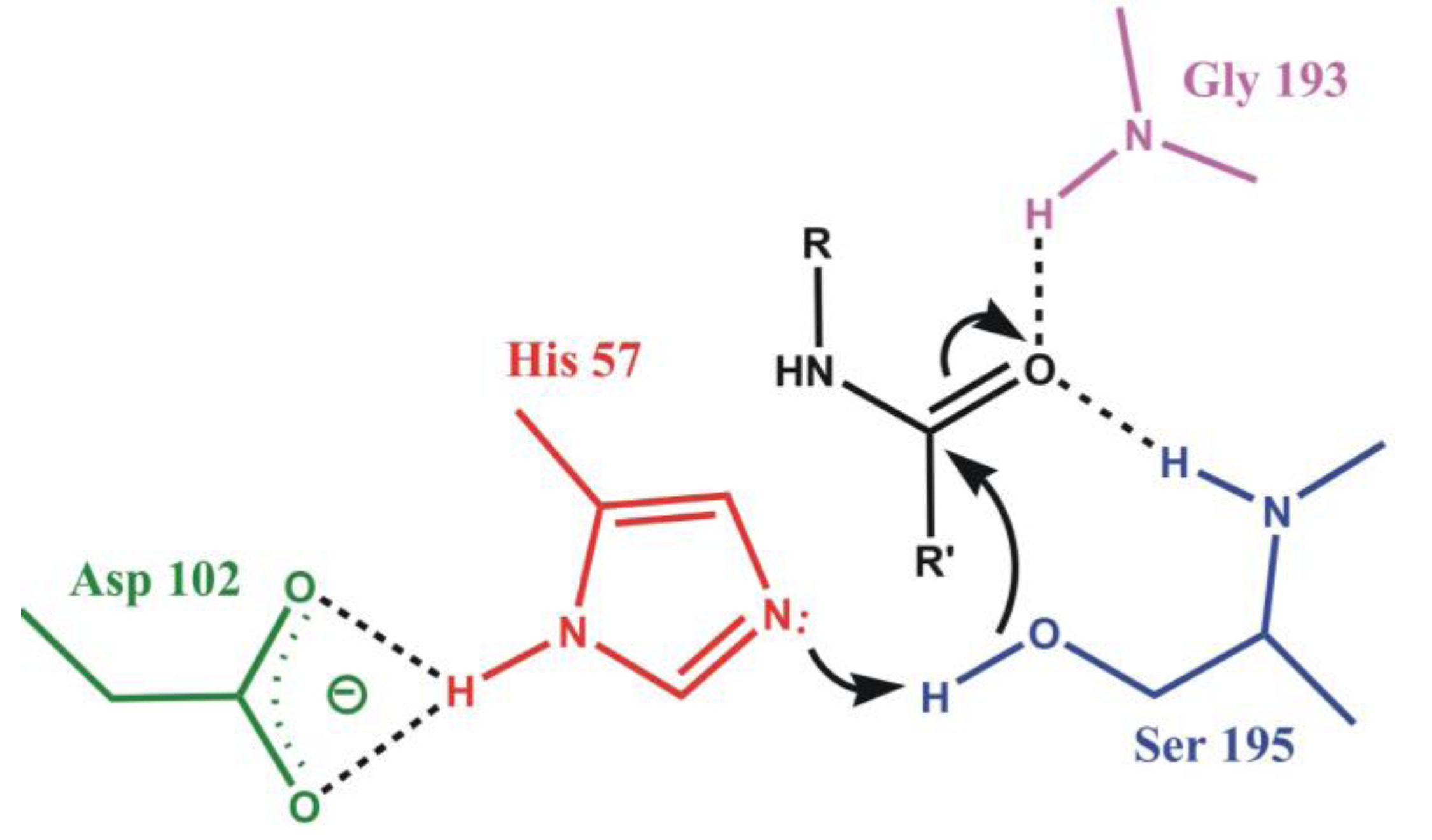 Biomolecules 03 00662 g003