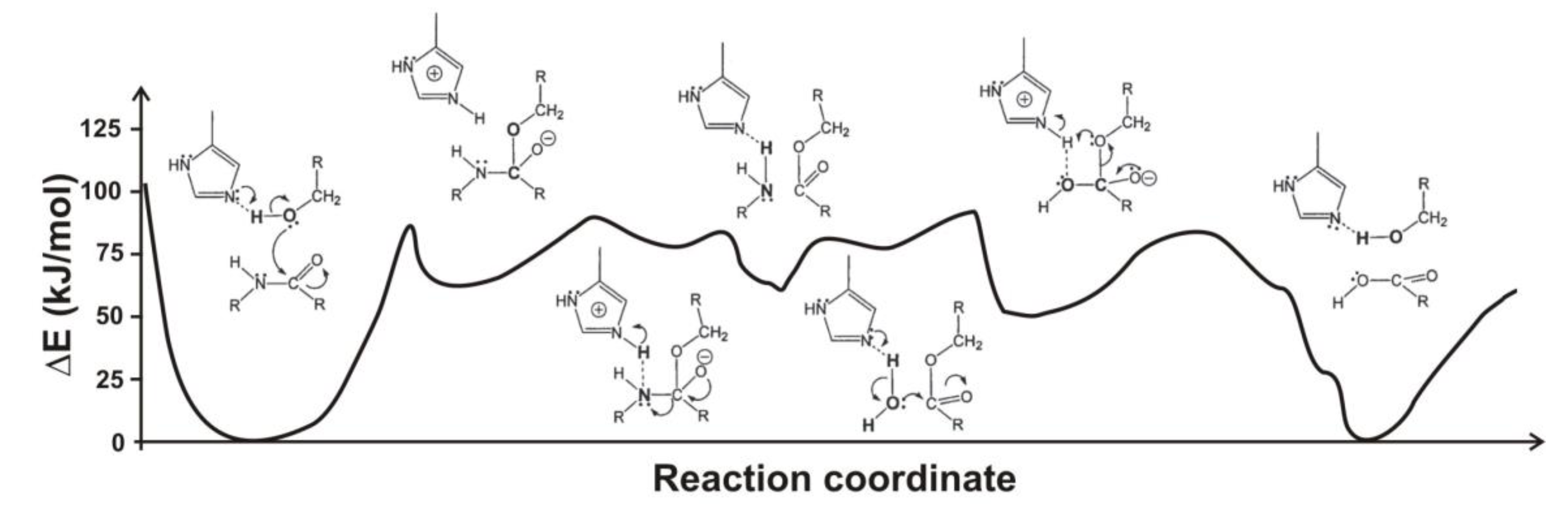 Biomolecules 03 00662 g004