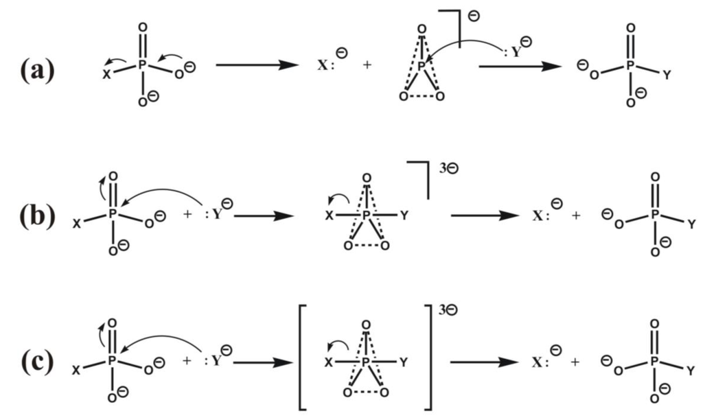 Biomolecules 03 00662 g005 1024