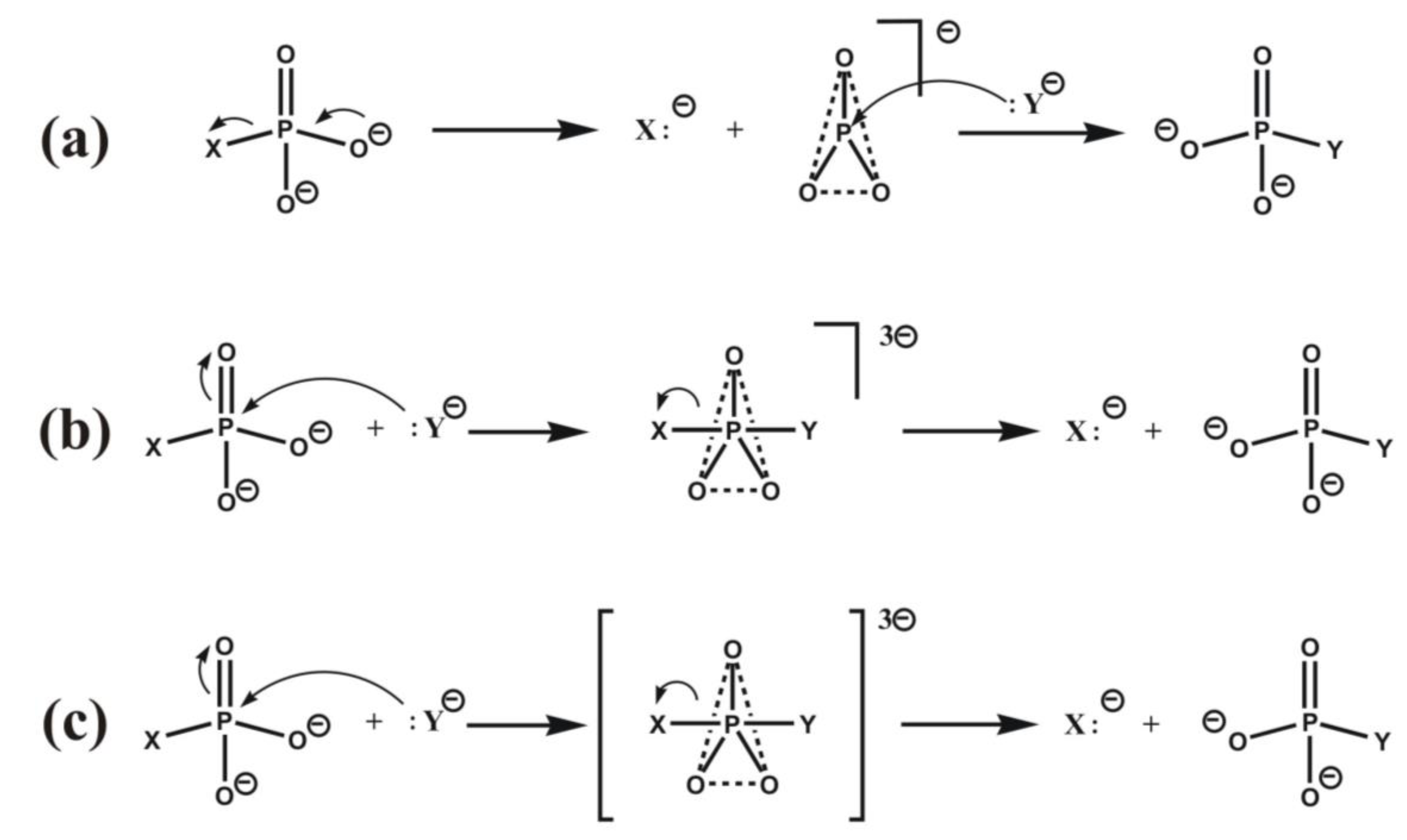 Biomolecules 03 00662 g005