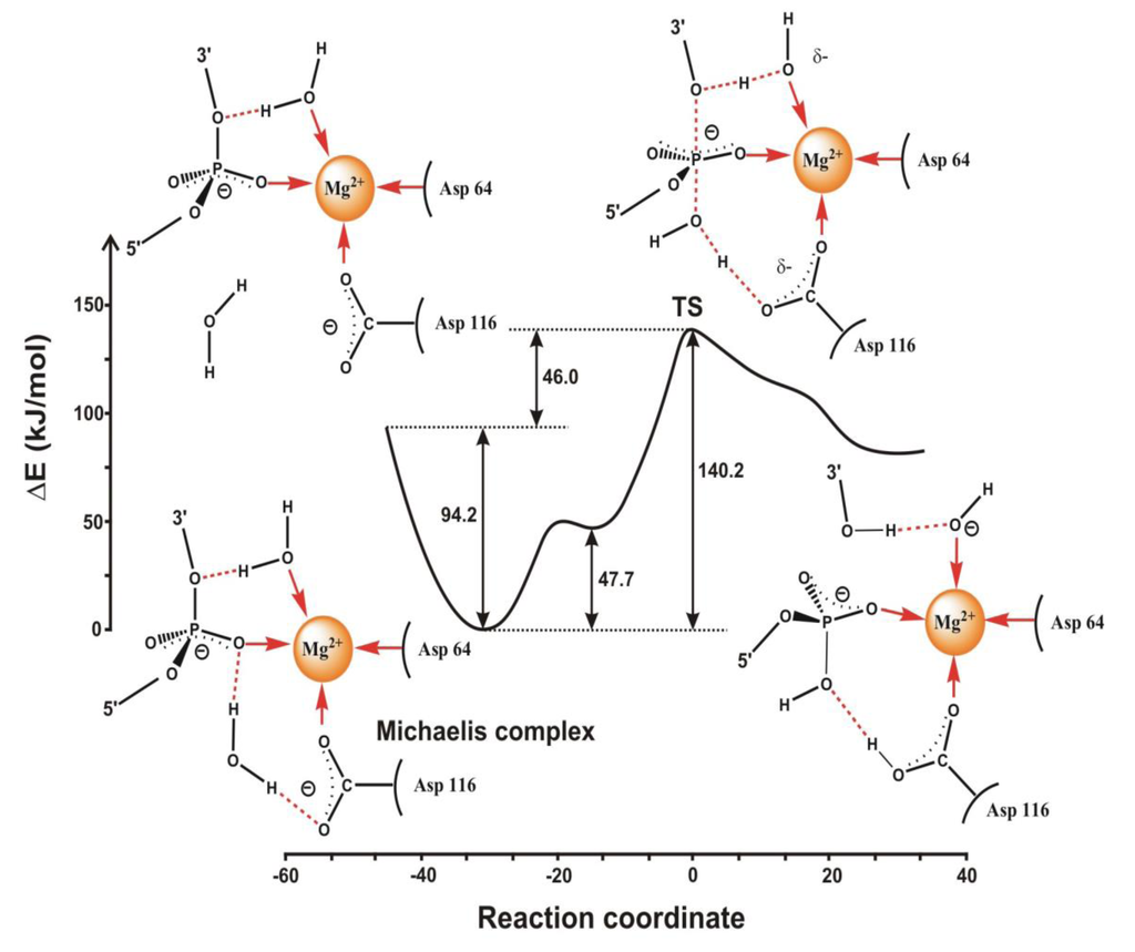Biomolecules 03 00662 g006 1024