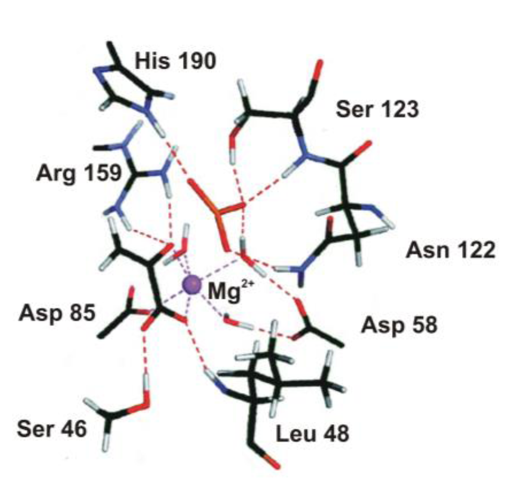 Biomolecules 03 00662 g007 1024