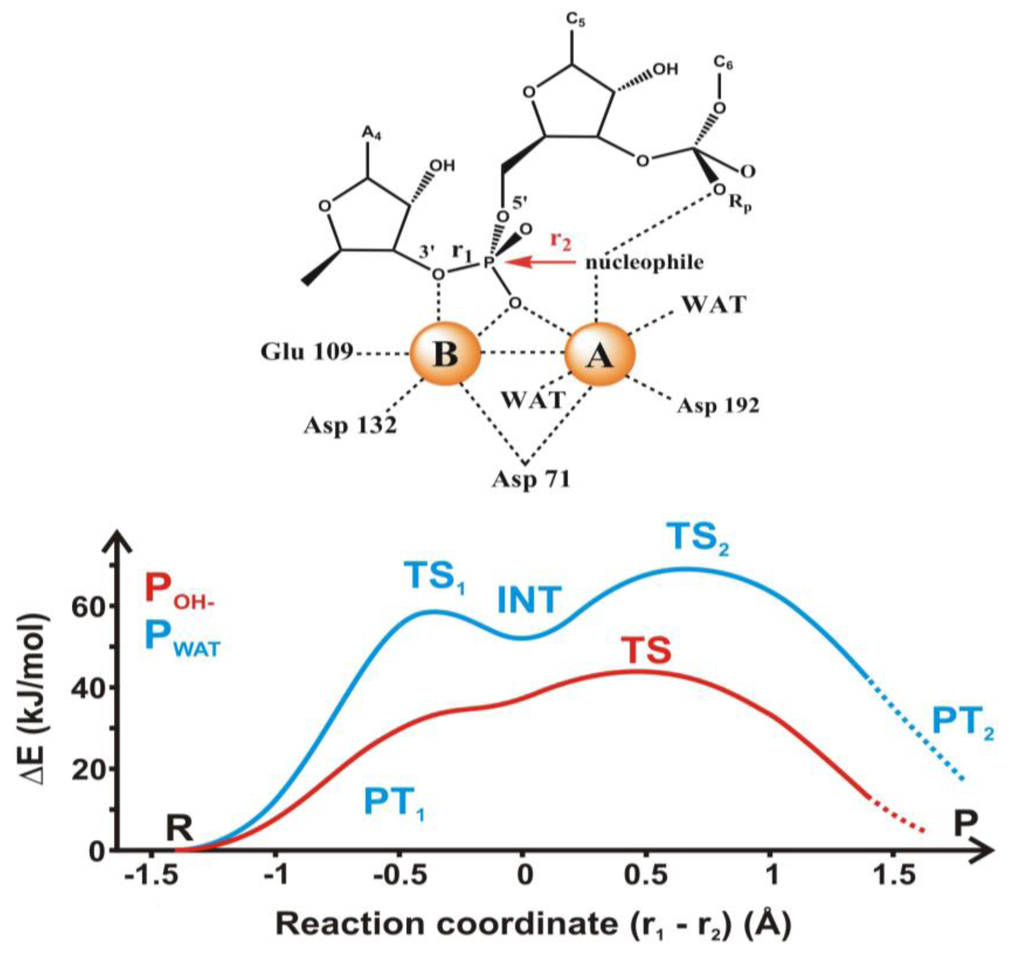 Biomolecules 03 00662 g008 1024