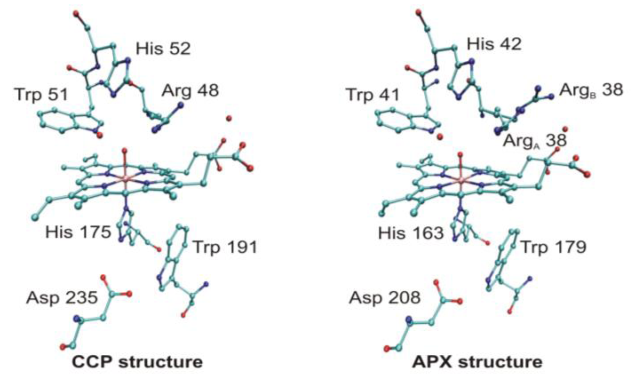 Biomolecules 03 00662 g009