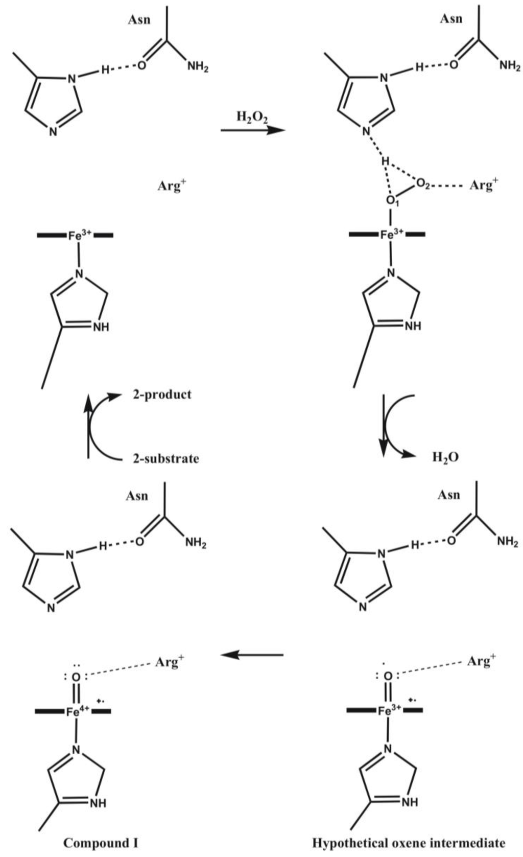 Biomolecules 03 00662 g010 1024