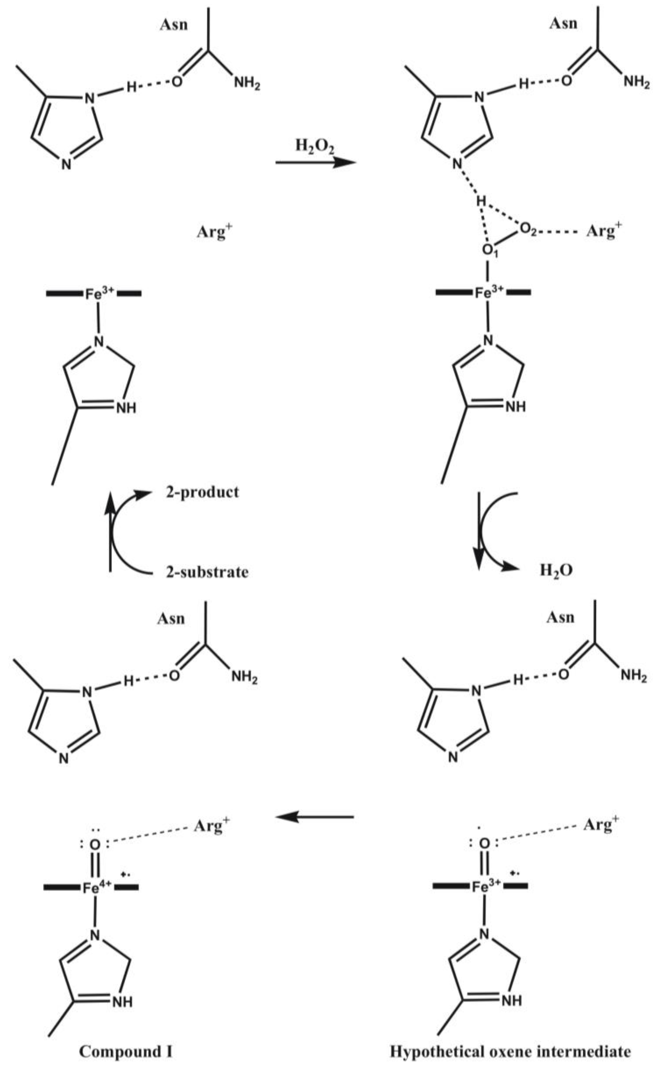 Biomolecules 03 00662 g010