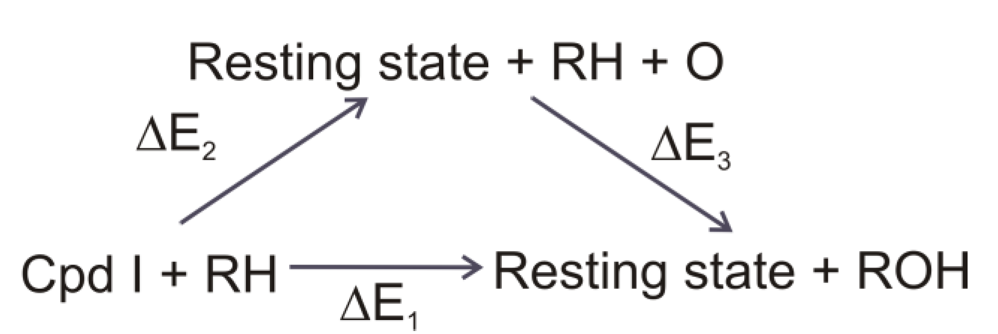 Biomolecules 03 00662 g012