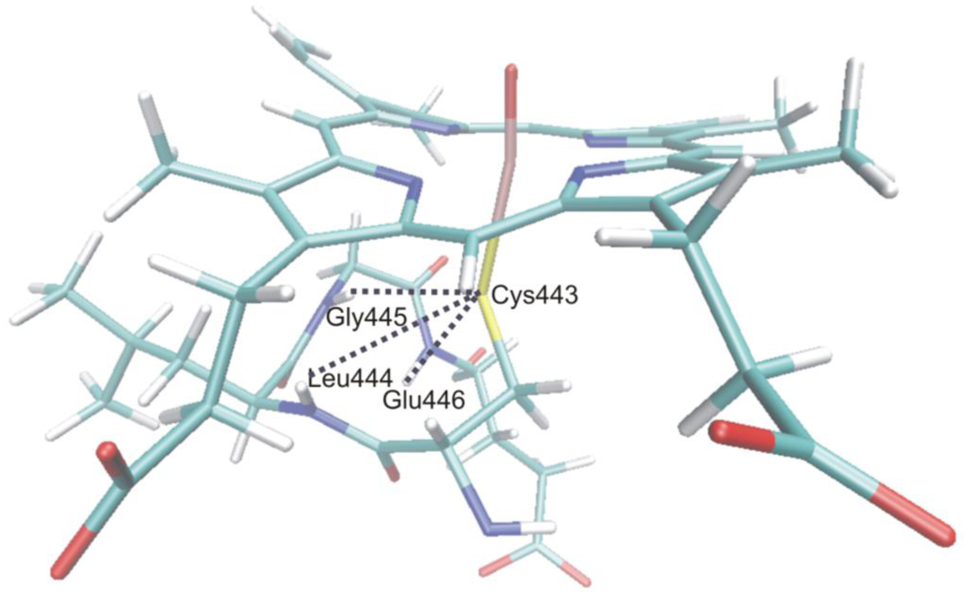 Biomolecules 03 00662 g013