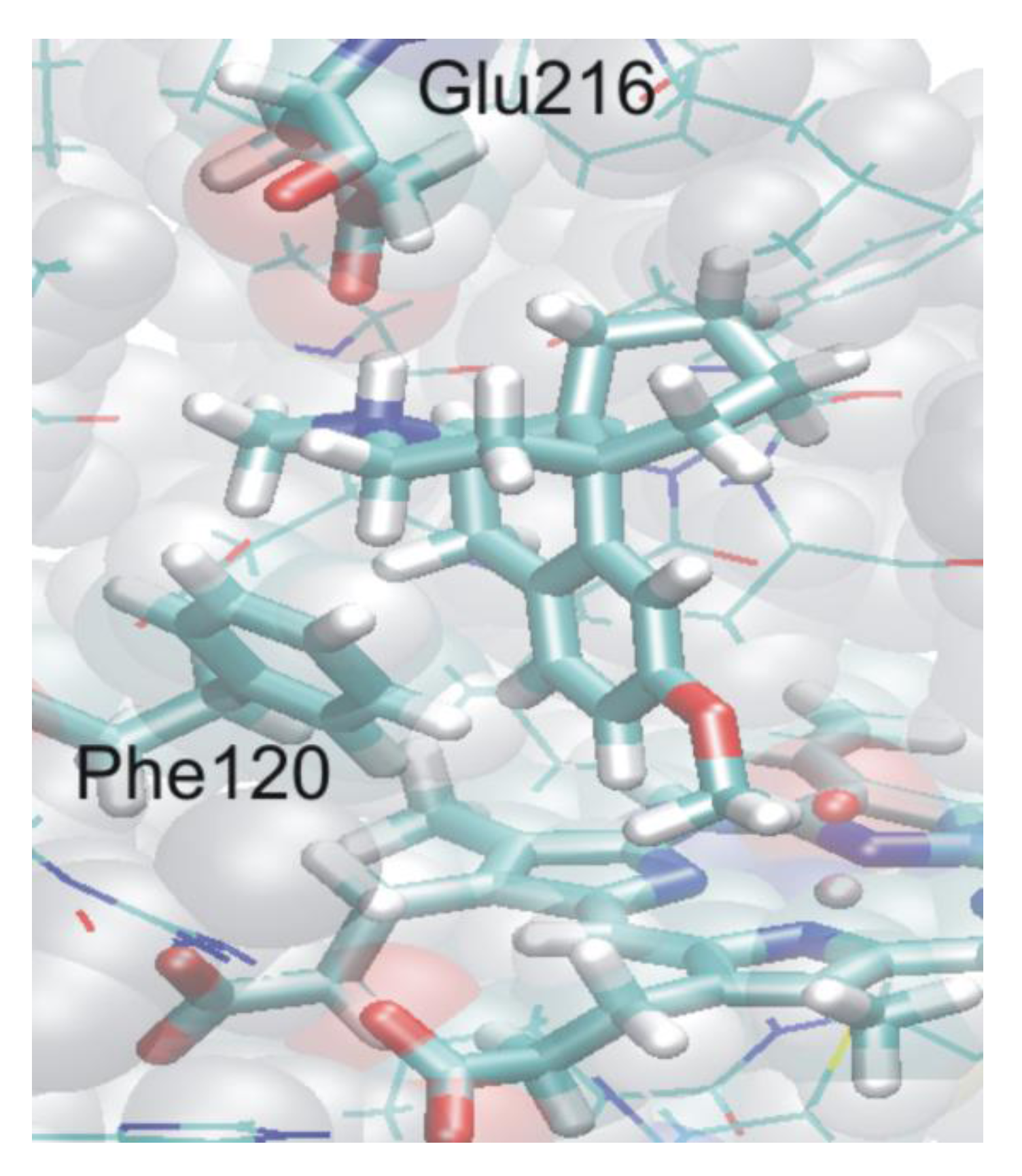 Biomolecules 03 00662 g016