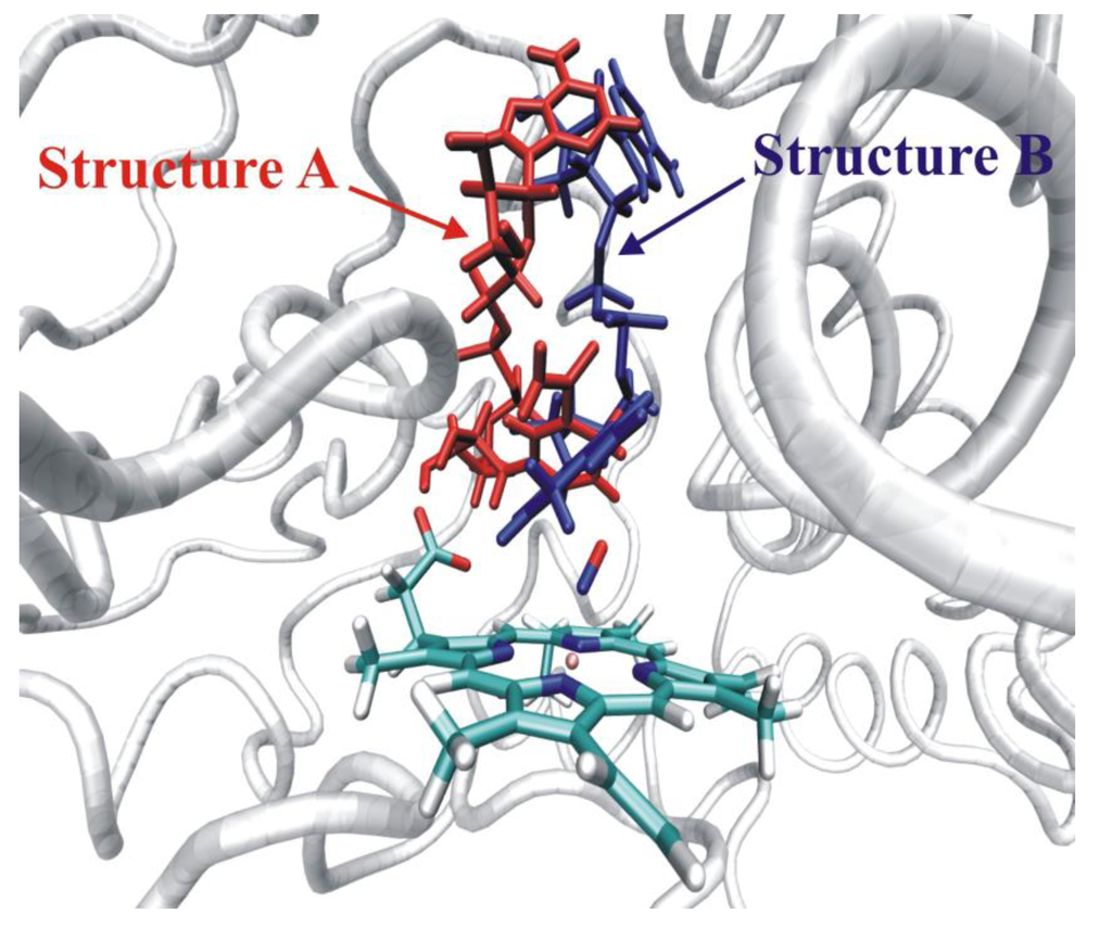 Biomolecules 03 00662 g017 1024