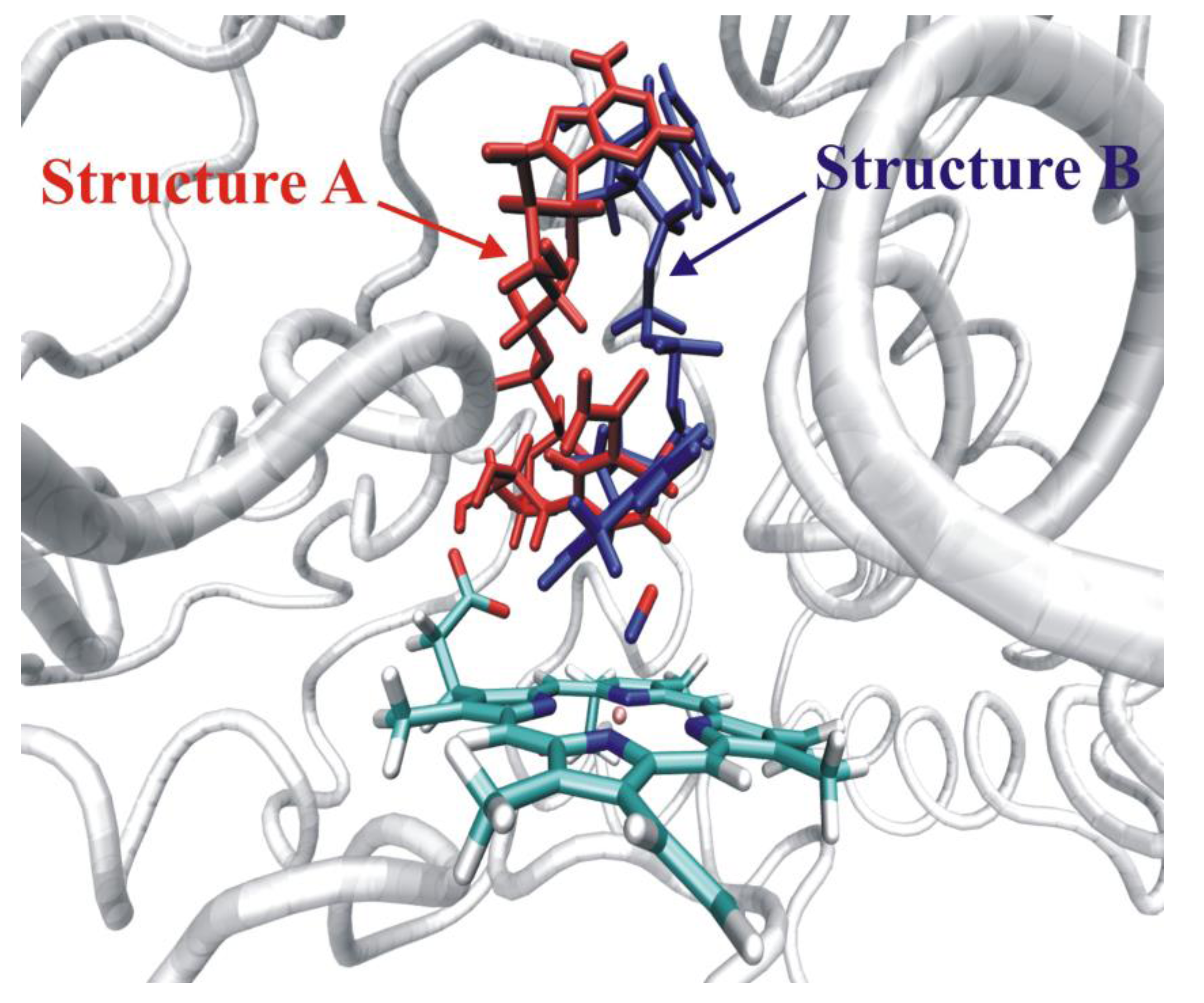 Biomolecules 03 00662 g017